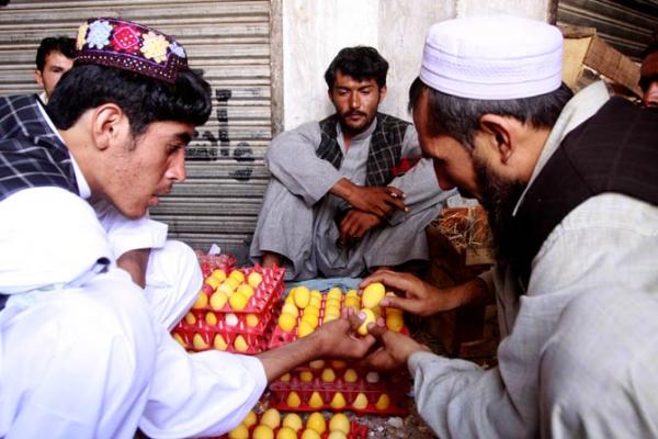 Tradisi Unik Tanding Telur Untuk Rayakan Lebaran di Afghanistan