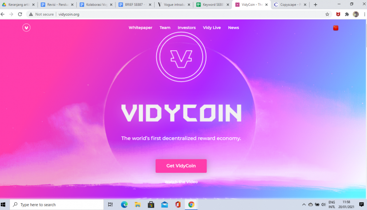 VidyCoin