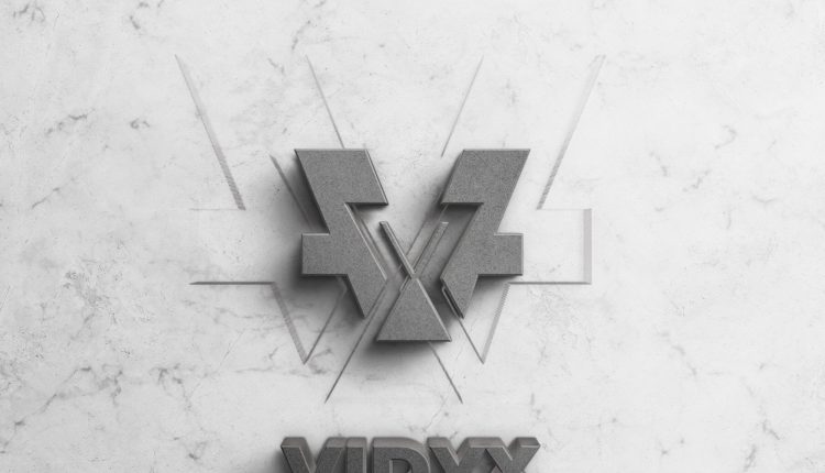 Vidyx Best Crypto Asset