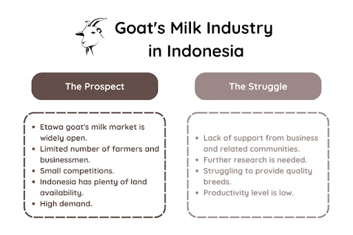 Goat Milk Processing Manufacturer Supplier - Araca Milk